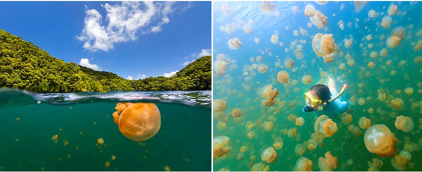 水母湖